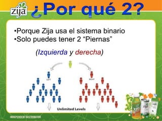 Presentacion zija