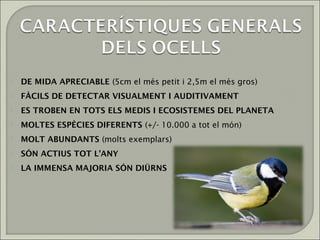   DE MIDA APRECIABLE (5cm el més petit i 2,5m el més gros)
   FÀCILS DE DETECTAR VISUALMENT I AUDITIVAMENT
   ES TROBEN EN TOTS ELS MEDIS I ECOSISTEMES DEL PLANETA
   MOLTES ESPÈCIES DIFERENTS (+/- 10.000 a tot el món)
   MOLT ABUNDANTS (molts exemplars)
   SÓN ACTIUS TOT L’ANY
   LA IMMENSA MAJORIA SÓN DIÜRNS
 