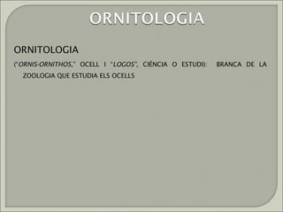 ORNITOLOGIA
(“ORNIS-ORNITHOS,” OCELL I “LOGOS”, CIÈNCIA O ESTUDI):   BRANCA DE LA
  ZOOLOGIA QUE ESTUDIA ELS OCELLS
 