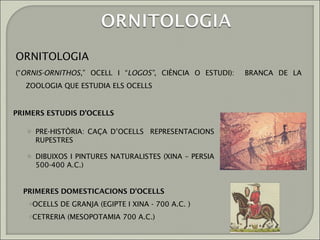 ORNITOLOGIA
(“ORNIS-ORNITHOS,” OCELL I “LOGOS”, CIÈNCIA O ESTUDI):   BRANCA DE LA
   ZOOLOGIA QUE ESTUDIA ELS OCELLS


PRIMERS ESTUDIS D’OCELLS

   o PRE-HISTÒRIA: CAÇA D’OCELLS      REPRESENTACIONS
     RUPESTRES

   o DIBUIXOS I PINTURES NATURALISTES (XINA – PERSIA
     500-400 A.C.)


  PRIMERES DOMESTICACIONS D'OCELLS
   oOCELLS   DE GRANJA (EGIPTE I XINA - 700 A.C. )
   oCETRERIA   (MESOPOTAMIA 700 A.C.)
 