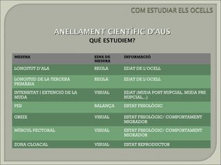 ANELLAMENT CIENTÍFIC D’AUS
                              QUÈ ESTUDIEM?

MESURA                         EINA DE   INFORMACIÓ
                               MESURA

LONGITUT D’ALA                 REGLA     EDAT DE L’OCELL

LONGITUD DE LA TERCERA         REGLA     EDAT DE L’OCELL
PRIMÀRIA

INTENSITAT I EXTENCIÓ DE LA    VISUAL    EDAT (MUDA POST NUPCIAL, MUDA PRE
MUDA                                     NUPCIAL,..)

PES                            BALANÇA   ESTAT FISIOLÒGIC

GREIX                          VISUAL    ESTAT FISIOLÒGIC/ COMPORTAMENT
                                         MIGRADOR

MÚSCUL PECTORAL                VISUAL    ESTAT FISIOLÒGIC/ COMPORTAMENT
                                         MIGRADOR

ZONA CLOACAL                   VISUAL    ESTAT REPRODUCTOR
 