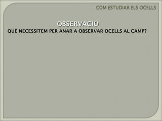 OBSERVACIÓ
QUÈ NECESSITEM PER ANAR A OBSERVAR OCELLS AL CAMP?
 