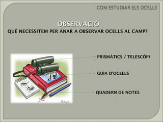 OBSERVACIÓ
QUÈ NECESSITEM PER ANAR A OBSERVAR OCELLS AL CAMP?




                                PRISMÀTICS / TELESCÒPI



                               GUIA D’OCELLS



                               QUADERN DE NOTES
 