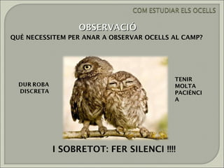 OBSERVACIÓ
QUÈ NECESSITEM PER ANAR A OBSERVAR OCELLS AL CAMP?




                                          TENIR
                                          MOLTA
                                          PACIÈNCI
                                          A




          I SOBRETOT: FER SILENCI !!!!
 