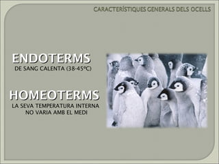 ENDOTERMS
DE SANG CALENTA (38-45ºC)




HOMEOTERMS
LA SEVA TEMPERATURA INTERNA
     NO VARIA AMB EL MEDI
 