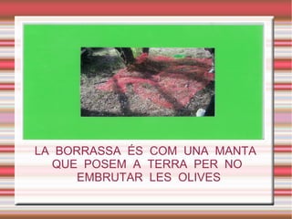 Objetivo a largo plazo
●
●
●
LA BORRASSA ÉS COM UNA MANTA
QUE POSEM A TERRA PER NO
EMBRUTAR LES OLIVES
 