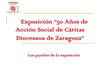 Exposición “50 Años de
Acción Social de Cáritas
Diocesana de Zaragoza”

    Los paneles de la exposición
 