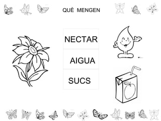 QUÈ MENGEN
SUCS
AIGUA
NECTAR
 