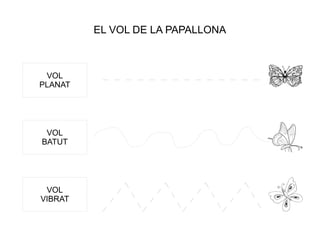 EL VOL DE LA PAPALLONA
VOL
PLANAT
VOL
BATUT
VOL
VIBRAT
 