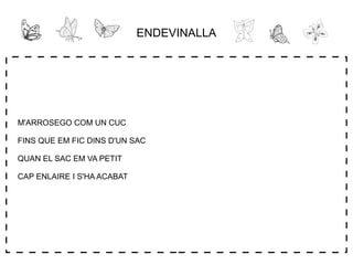 ENDEVINALLA
M'ARROSEGO COM UN CUC
FINS QUE EM FIC DINS D'UN SAC
QUAN EL SAC EM VA PETIT
CAP ENLAIRE I S'HA ACABAT
 