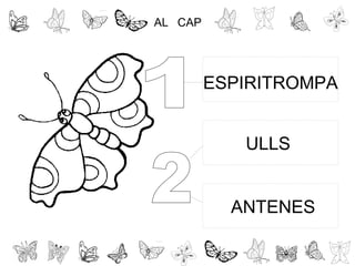 AL CAP
ESPIRITROMPA
ULLS
ANTENES
 