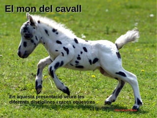 El mon del cavallEl mon del cavall
En aquesta presentació veure les
diferents disciplines i races eqüestres
http://bit.ly/21Byiqa
 