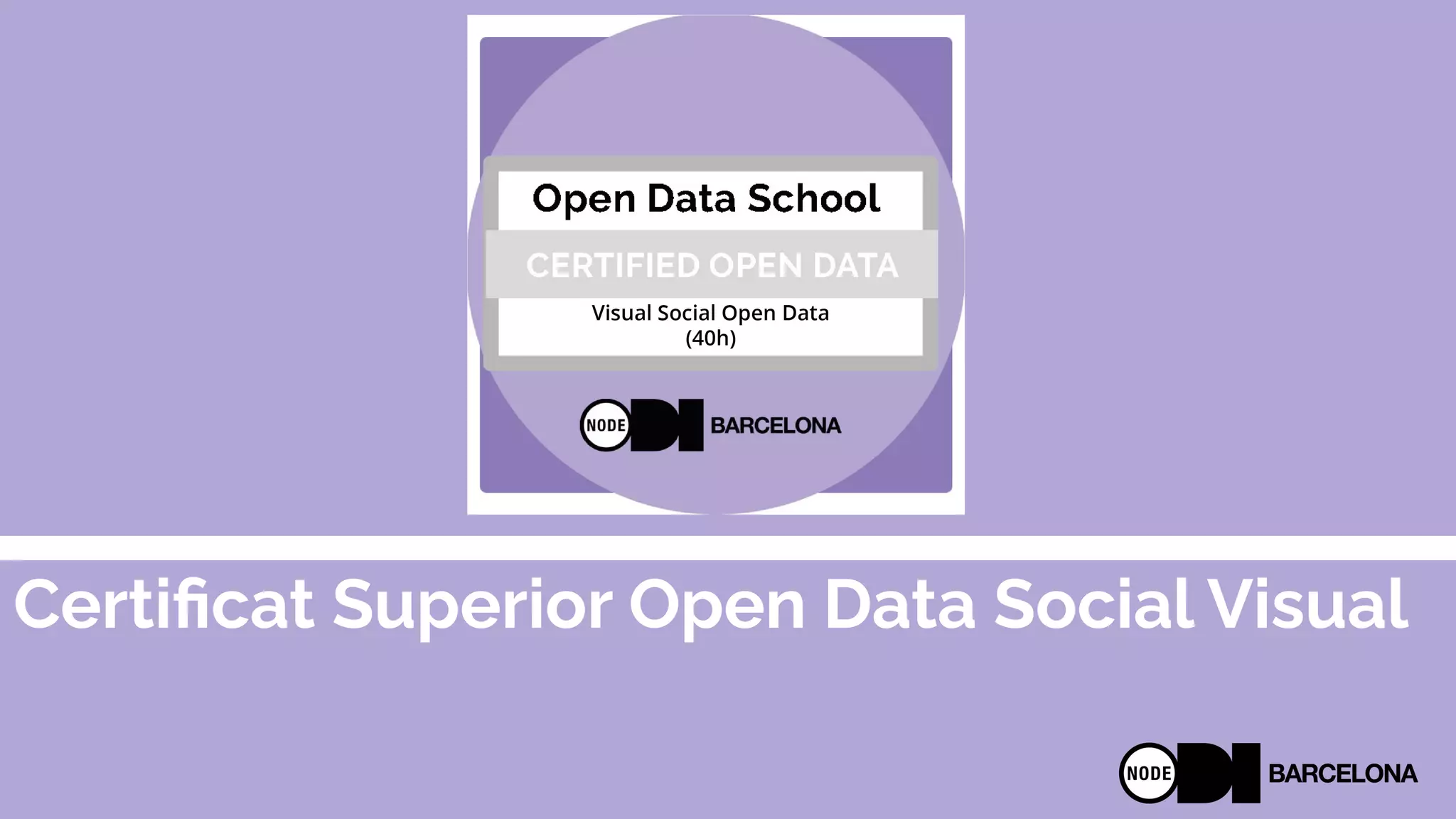 Certiﬁcat Superior Open Data Social Visual
 