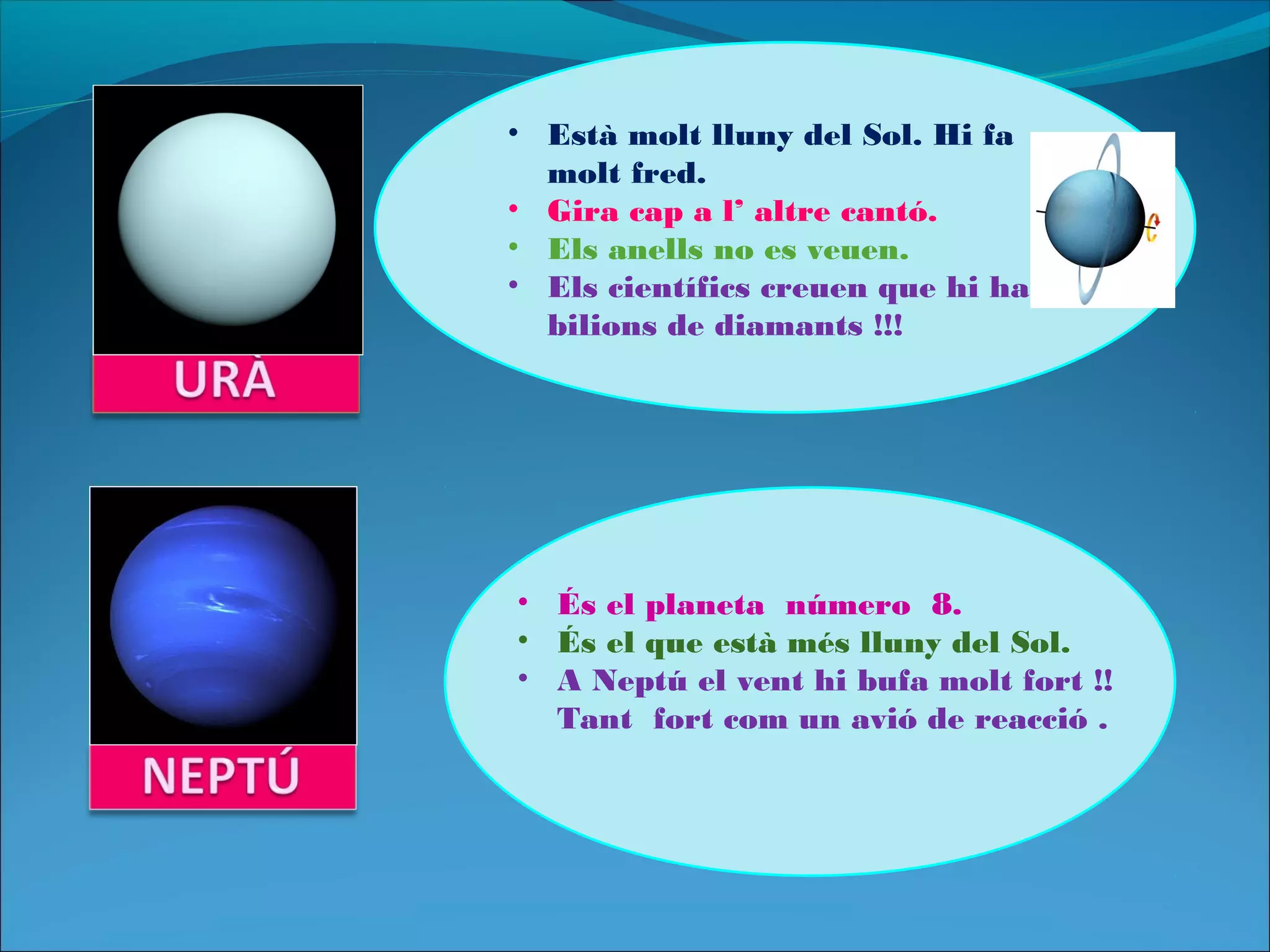 • Està molt lluny del Sol. Hi fa
molt fred.
• Gira cap a l’ altre cantó.
• Els anells no es veuen.
• Els científics creuen que hi ha
bilions de diamants !!!
• És el planeta número 8.
• És el que està més lluny del Sol.
• A Neptú el vent hi bufa molt fort !!
Tant fort com un avió de reacció .
 