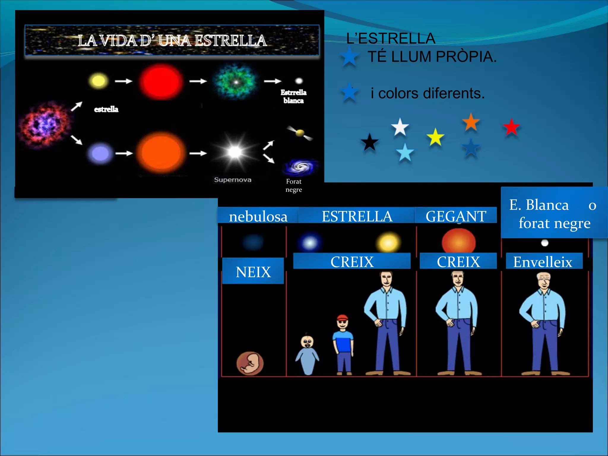 NEIXNEIX
CREIX CREIX Envelleix
nebulosa ESTRELLA GEGANT
E. Blanca o
forat negre
L’ESTRELLA
TÉ LLUM PRÒPIA.
i i colors diferents.
Forat
negre
 