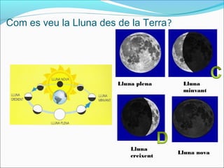 Com es veu la Lluna des de la Terra?
Lluna plena Lluna
minvant
Lluna
creixent
Lluna nova
 