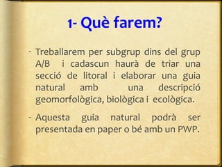 1- Què farem?
- Treballarem per subgrup dins del grup
A/B i cadascun haurà de triar una
secció de litoral i elaborar una guia
natural amb una descripció
geomorfològica, biològica i ecològica.
- Aquesta guia natural podrà ser
presentada en paper o bé amb un PWP.
 