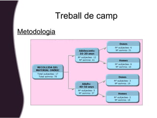 Metodologia Treball de camp 