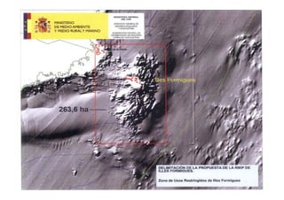 Presentacio Reserva Marina 7 Juliol
