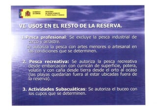 Presentacio Reserva Marina 7 Juliol