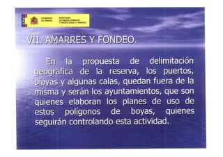 Presentacio Reserva Marina 7 Juliol