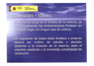 Presentacio Reserva Marina 7 Juliol