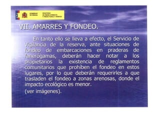 Presentacio Reserva Marina 7 Juliol