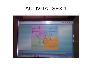 ACTIVITAT SEX 1
 
