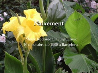 Naixement
Mercè Rodoreda i Gurguí neix
el 10 d’octubre de 1908 a Barcelona.
Naixement
 