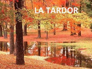 LA TARDOR
 