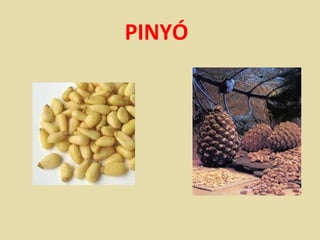 PINYÓ
 