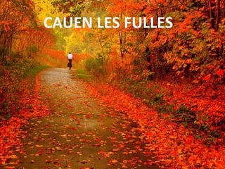 CAUEN LES FULLES
 