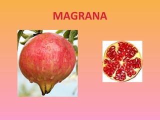 MAGRANA
 