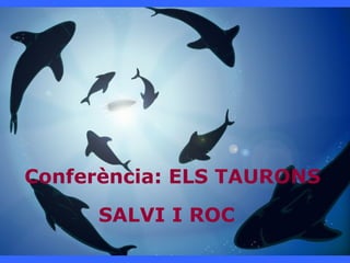 Conferència: ELS TAURONS
SALVI I ROC
 