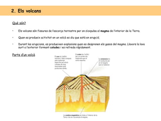 Què són? Els volcans són fissures de l’escorça terrestre per on s’expulsa el  magma  de l’interior de la Terra.   Quan es produeix activitat en un volcà es diu que està en erupció. Durant les erupcions, es produeixen explosions quan es desprenen els gasos del magma. Llavors la lava surt a l’exterior formant  colades  i es refreda ràpidament. Parts d’un volcà 2. Els volcans 