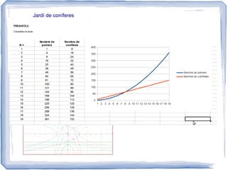 Jardí de coníferes
 