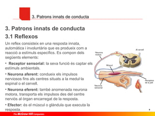 3. Patrons innats de conducta

3. Patrons innats de conducta
3.1 Reflexos
Un reflex consisteix en una resposta innata,
automàtica i involuntària que es produeix com a
reacció a estímuls específics. Es compon dels
següents elements:
• Receptor sensorial: la seva funció és captar els
estímuls ambientals.
• Neurona aferent: condueix els impulsos
nerviosos fins als centres situats a la medul·la
espinal o el cervell.
• Neurona eferent: també anomenada neurona
motora, transporta els impulsos des del centre
nerviós al òrgan encarregat de la resposta.
• Efector: és el múscul o glàndula que executa la
resposta.

4

 