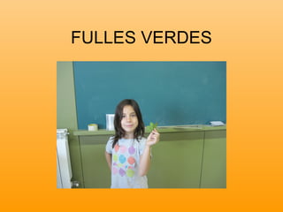 FULLES VERDES
 