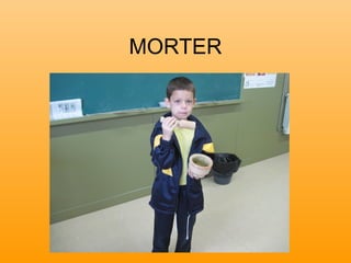 MORTER
 
