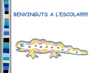 BENVINGUTS A L’ESCOLA!!!!!!!
 