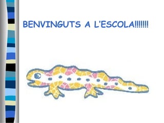 BENVINGUTS A L’ESCOLA!!!!!!!
 