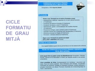 CICLE FORMATIU DE  GRAU MITJÀ 