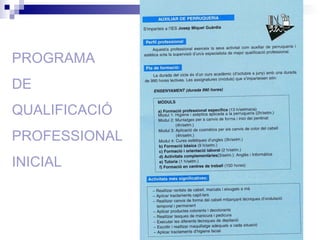 PROGRAMA DE QUALIFICACIÓ PROFESSIONAL INICIAL 