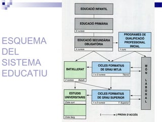 ESQUEMA
DEL
SISTEMA
EDUCATIU
 