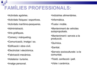 FAMÍLIES PROFESSIONALS:
•Activitats agràries.
•Activitats físiques i esportives.
•Activitats marítimo-pesqueres.
•Administració.
•Arts gràfiques.
•Comerç i màrqueting.
•Comunicació, imatge i so.
•Edificació i obra civil.
•Electricitat i electrònica.
•Fabricació mecànica.
•Hoteleria i turisme.
•Imatge personal.
•Indústries alimentàries.
•Informàtica.
•Fusta i moble.
•Manteniment de vehicles
autopropulsats.
•Manteniment i serveis a la
producció.
•Química.
•Sanitat.
•Serveis socioculturals i a la
comunitat.
•Tèxtil, confecció i pell.
•Vidre i ceràmica.
 