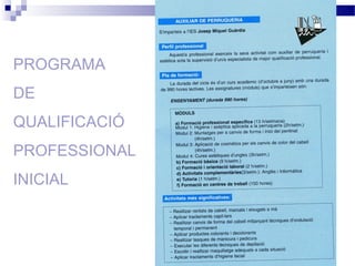PROGRAMA
DE
QUALIFICACIÓ
PROFESSIONAL
INICIAL
 
