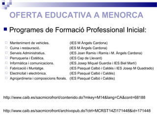OFERTA EDUCATIVA A MENORCA
 Manteniment de vehicles. (IES M Àngels Cardona)
 Cuina i restauració. (IES M Àngels Cardona)
 Serveis Administratius. (IES Joan Ramis i Ramis i M. Àngels Cardona)
 Perruqueria i Estètica. (IES Cap de Llevant)
 Informàtica i comunicacions. (IES Josep Miquel Guardia i IES Biel Martí)
 Fabricació i Muntatge. (IES Pasqual Calbó i Caldés i IES Josep M Quadrado)
 Electricitat i electrònica. (IES Pasqual Calbó i Caldés)
 Agrojardineria i composicions florals. (IES Pasqual Calbó i Caldés)
 Programes de Formació Professional Inicial:
http://www.caib.es/sacmicrofront/archivopub.do?ctrl=MCRST14ZI171448&id=171448
http://www.caib.es/sacmicrofront/contenido.do?mkey=M14&lang=CA&cont=68188
 