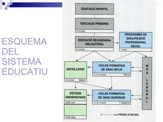 ESQUEMA DEL SISTEMA EDUCATIU 