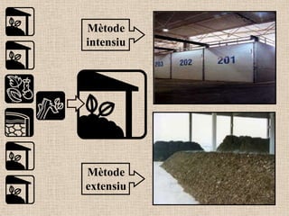 Mètode
intensiu




Mètode
extensiu
 