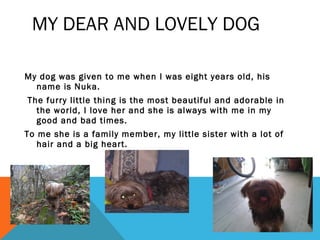 MY DEAR AND LOVELY DOG
My dog was given to me when I was eight years old, his
name is Nuka.
The furry little thing is the most beautiful and adorable in
the world, I love her and she is always with me in my
good and bad times.
To me she is a family member, my little sister with a lot of
hair and a big heart.

 
